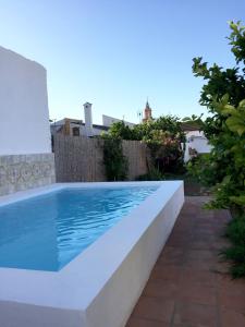 阿尔戈多纳莱斯Casa Baraka的后院的游泳池