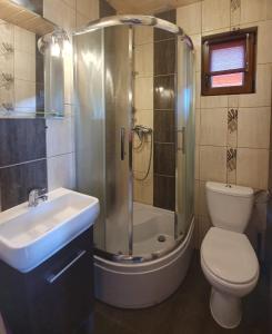 威西ALBATROS Wicie的带淋浴、卫生间和盥洗盆的浴室