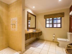 卡萨内Chobe Marina Lodge的一间带卫生间和镜子的浴室