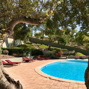 艾格芬卡艾尔奥特罗住宿加早餐旅馆的一个带红色躺椅和树木的游泳池