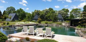 赞考Zen Garden Resort, Zánka的一组椅子坐在湖边甲板上