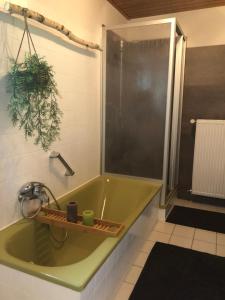 劳芬堡Ferienwohnung mit HERZ in Laufenburg的一间带绿色浴缸和淋浴的浴室