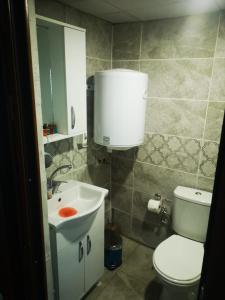 恰纳卡莱İntepe Poseidon的浴室配有白色卫生间和盥洗盆。