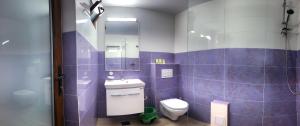 朱庇特Casa Eden Jupiter的紫色浴室设有卫生间和水槽