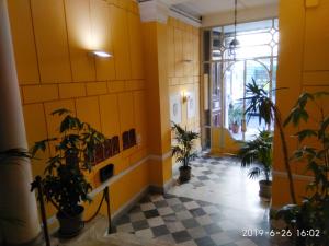 巴勒莫戴尔中央酒店的走廊上设有黄色的墙壁和盆栽植物