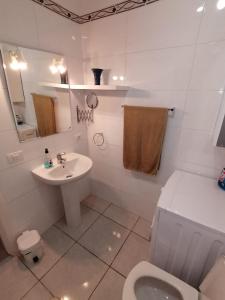 洛斯克里斯蒂亚诺斯colina apartment的白色的浴室设有卫生间和水槽。