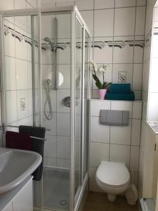 贝尔恩卡斯特尔-库斯Ferienhaus Moselglück - kostenlose ÖPNV-Nutzung inbegriffen的带淋浴、卫生间和盥洗盆的浴室