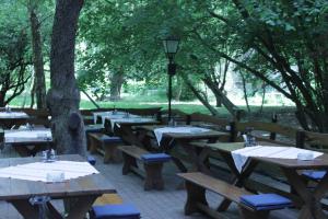 巴拉顿菲赖德Koloska apartmanház的公园里一排野餐桌,树木繁茂