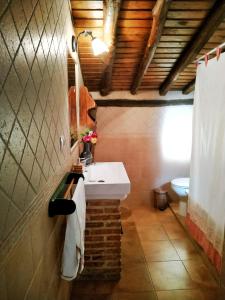 米兰达德尔卡斯塔尼亚尔Casa rural La Villa的一间带水槽和卫生间的浴室