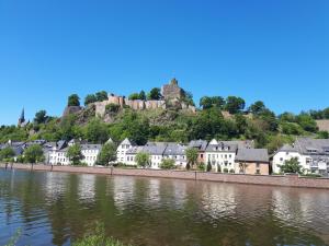 孔茨Ferienwohnung Emma的河畔山丘上一座城堡小镇