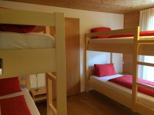 沃瑟姆阿尔伯格Wäldermetzge Hüttenzimmer und Wohnungen的小屋内带三张双层床的客房
