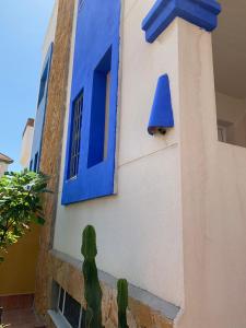 滨海罗克塔斯Oktheway Vivas Aguadulce的一只蓝窗,在一座有仙人掌的建筑的一侧