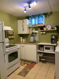 加斯佩Le 154 Jacques-Cartier的一间厨房,配有白色家电和绿色墙壁