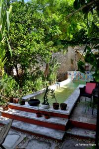 梅里达拉潘特拉内格拉住宿加早餐旅馆的种有盆栽植物和水池的花园