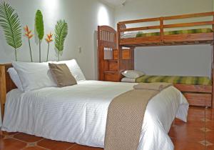 San JoaquínCasa Tropical的一间卧室配有一张床和一张双层床。