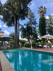 索伦托悬崖旅馆的一座带树木和遮阳伞的游泳池
