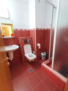 北马马亚-讷沃达里Vila Gente的红色的浴室设有卫生间和水槽