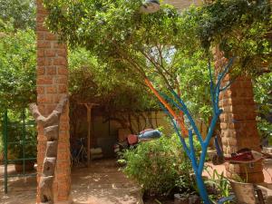 瓦加杜古Villa Yiri Suma的花园,放着一束从树上挂下来的风筝