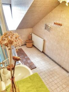耶塞尼克Apartmá v Rodném domě Vincenze Priessnitze v centru lázní的一间带水槽和卫生间的浴室