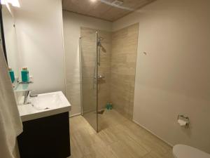 海宁Hotel Sov Godt Herning的带淋浴和盥洗盆的浴室