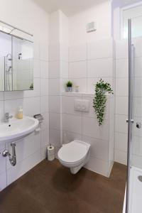 格拉茨Gemütliche Wohnung in zentraler Lage的白色的浴室设有卫生间和水槽。