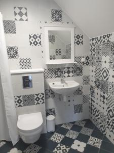 IisakuTamme Teemaja的一间带卫生间和水槽的浴室