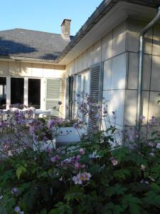 滑铁卢Studio La Rotonde的院子里鲜花盛开的房子