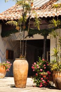 圣克里斯托瓦尔-德拉斯卡萨斯库可鲁兹酒店的房屋前方有植物的大花瓶