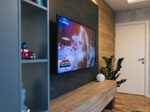 苏博蒂察My Space apartment的客厅的墙上设有平面电视