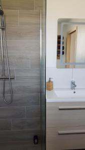 LivryLa Bergerie du Mesnil的带淋浴、盥洗盆和镜子的浴室