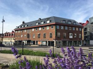 卡尔斯克鲁纳Karlskrona H&H的一条布满紫色花的街道上的大型砖砌建筑