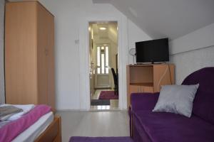兹拉蒂博尔Dobrila Apartments的客厅配有紫色沙发和电视