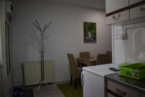 兹拉蒂博尔Dobrila Apartments的厨房配有柜台和桌椅