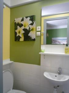 FelletinAu Relais du Parc de Millevaches的一间带卫生间、水槽和镜子的浴室