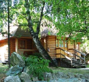 乌日霍罗德德鲁日巴酒店的小木屋设有门廊和树