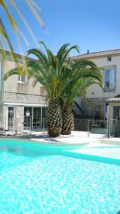 奥雷龙圣皮耶尔广场酒店的一座建筑前的一座游泳池,两棵棕榈树