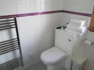 阿德西尔布鲁姆利亚酒店的一间带卫生间和一堆毛巾的浴室