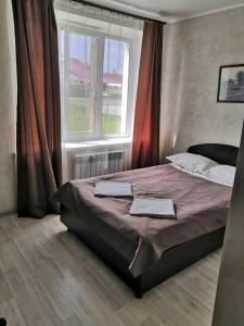 ShchigryБазилик Щигры的一间卧室设有一张大床和窗户
