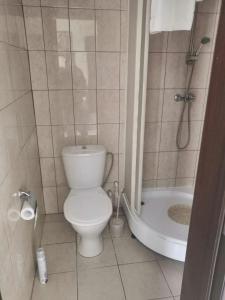ShchigryБазилик Щигры的浴室配有白色卫生间和淋浴。