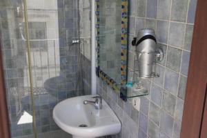 科尔多瓦La Piquera Hostal的一间带水槽和淋浴的小浴室
