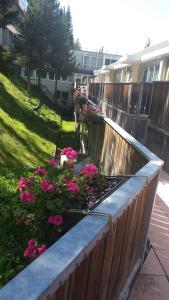 马里尔伊瓦洛雷斯2酒店 - 戈瓦坎泽的一座花园,花园内种有粉红色的花卉和木栅栏