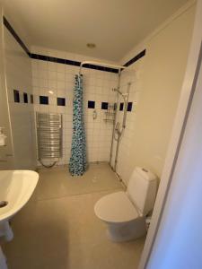 孙讷布罗必嘎斯吉瓦尔嘉德酒店的浴室配有卫生间、淋浴和盥洗盆。