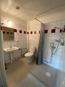 孙讷布罗必嘎斯吉瓦尔嘉德酒店的浴室配有卫生间、盥洗盆和淋浴。