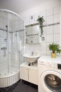 格拉茨Gemütliches Apartment in zentraler Lage的白色的浴室设有水槽和洗衣机。
