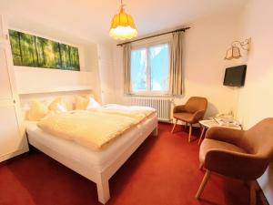 欣特察尔滕Hotel Zartenbach B&B的一间卧室配有一张床和两把椅子