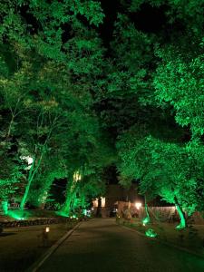 拉戈代希Royal Palace Hotel, Lagodekhi的绿灯在晚上的林荫街道