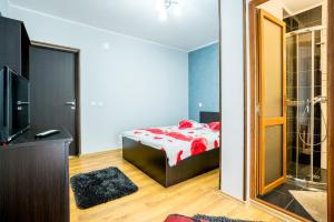 巴亚德菲耶尔Vila Nico的一间卧室设有一张床、一台电视和淋浴。