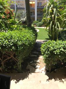 埃拉特Royal Park Eilat - Garden Apartment by CROWN的一座绿树成荫的花园及一座建筑