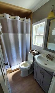 拉科尼亚白桦山庄汽车旅馆的浴室配有卫生间、盥洗盆和淋浴。