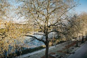 南特The Rhuys - Cosy-balcony with superb Loire view - all on foot - Parking的相册照片